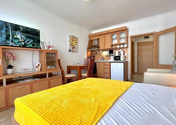 Bratanov Plaza Apartment *