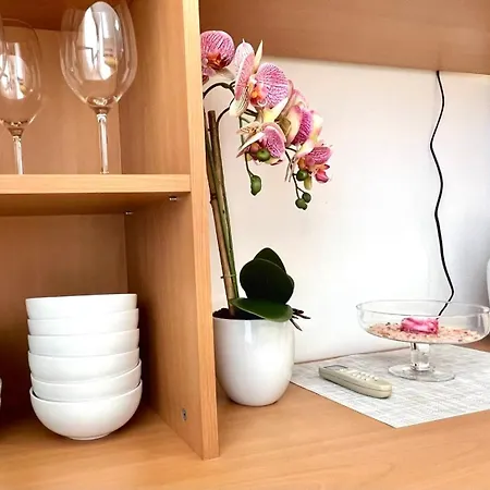 Apartment Bratanov Plaza *